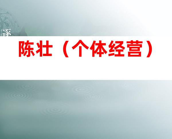陈壮（个体经营）